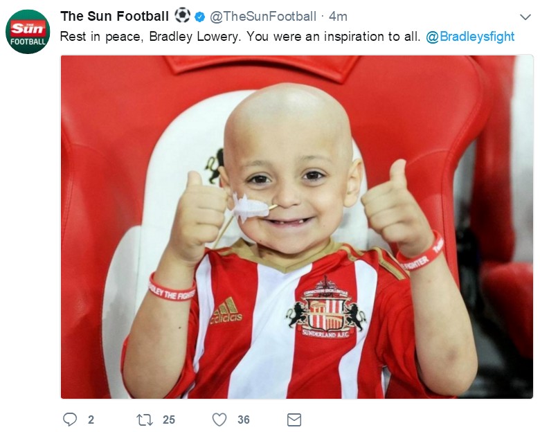 小布拉德利最后的话,小布拉德利视频