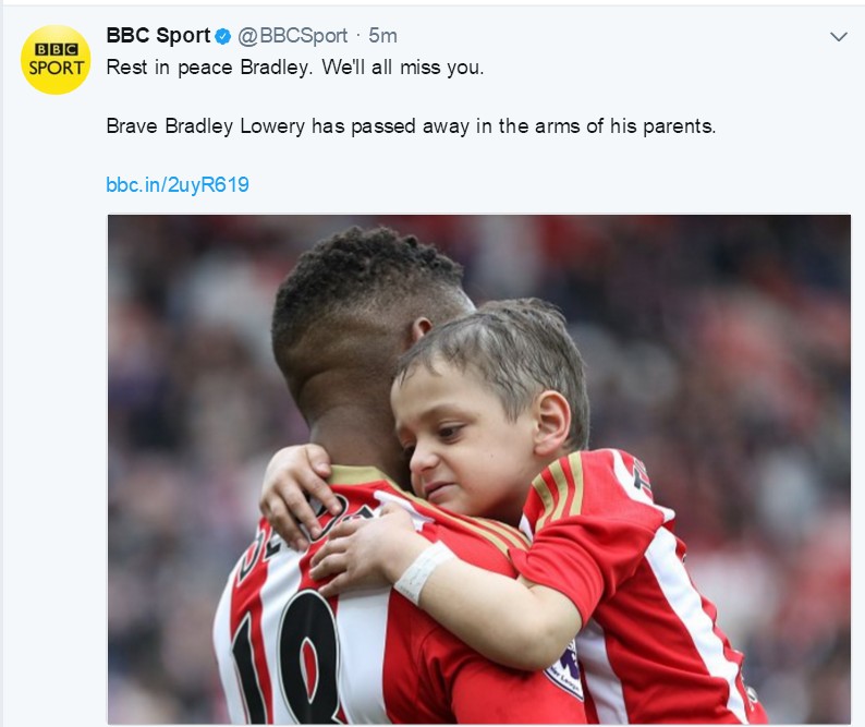 小布拉德利最后的话,小布拉德利视频