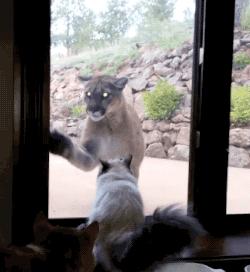 吹风机吹坏发根了怎么办,吹风机吹坏头发怎么办