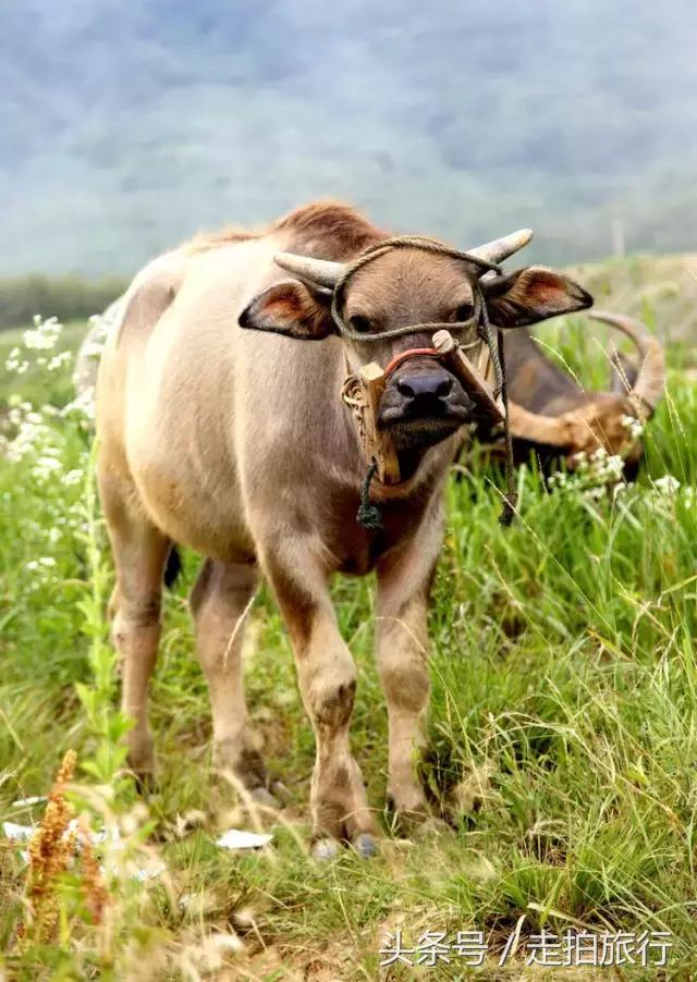 滁州游玩攻略潮玩街区,滁州最值得玩的地方