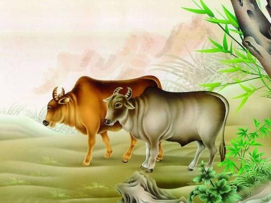 这三个生肖定能迎来富贵的生活,这三大生肖晚年衣食无忧福多寿长