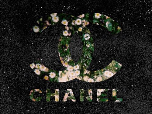 chanel香奈儿必买单品,chanel香奈儿36支试色