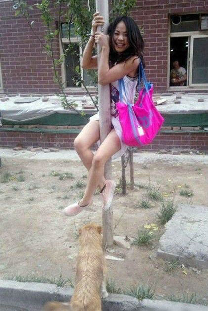 搞笑白雪公主笑话故事,白雪公主的连环笑话