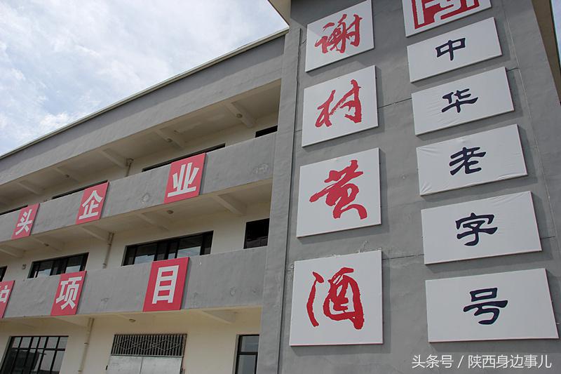 洋县秦洋长生酒业谢村黄酒,洋县秦洋长生酒业抖音号