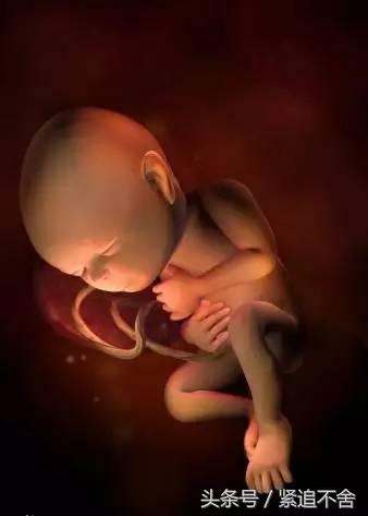 超萌龙凤胎宝宝图片,孕1到9周胎儿发育全过程