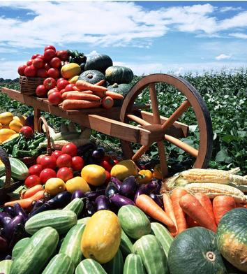 中国农业发展趋势及前景,中国农业行业前景