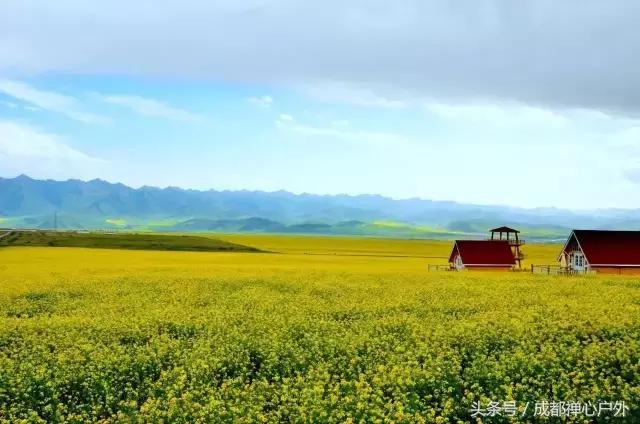 甘南年宝玉则景区,甘肃宝玉则旅游攻略