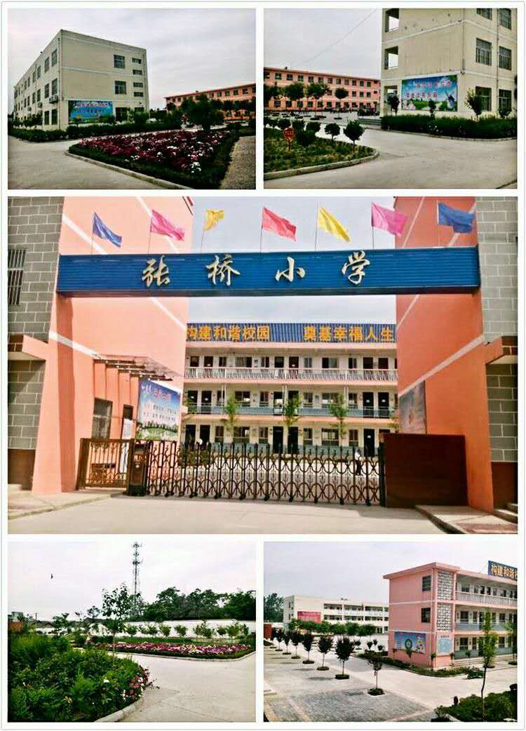 张桥中心小学上海,张桥乡中心小学简介