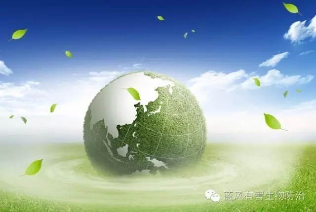 除老鼠蟑螂蚊蝇四害是国家政策吗,防蚊虫蟑螂老鼠苍蝇最好的方法