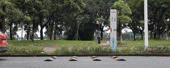 德系suv途观车型大全,德系suv底盘对比日本