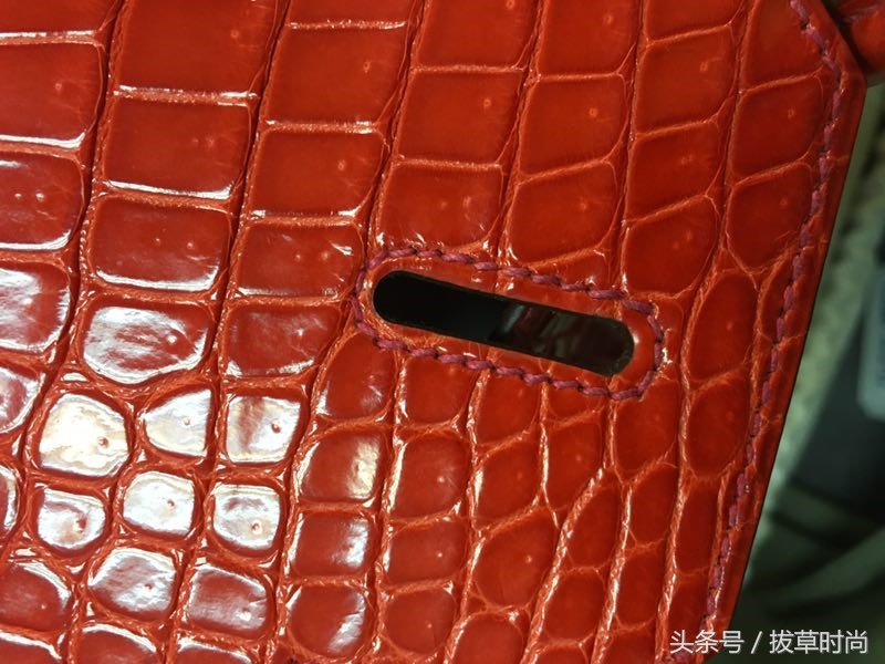 爱马仕鳄鱼皮包用的什么鳄鱼皮,喜马拉雅白鳄鱼皮包爱马仕