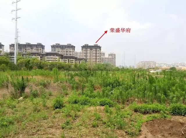 万达、苏宁都没来!龙湖景瑞拿地挺进南京*合六**!