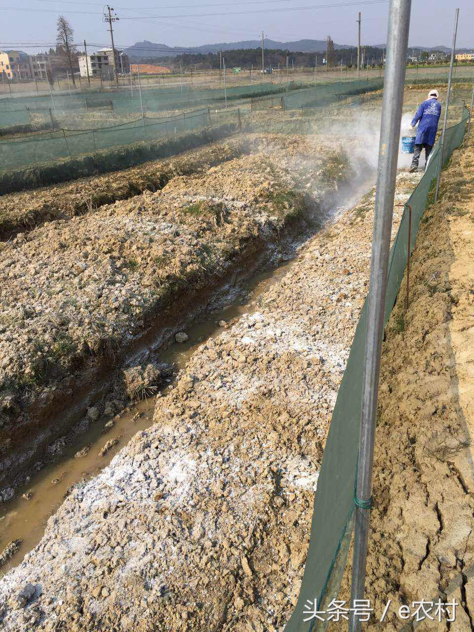 致富经养石蛙近期视频,cctv7致富经2016