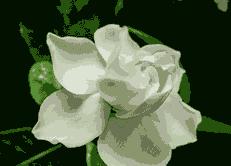 天气奥斯卡,奥斯卡金像奖地点