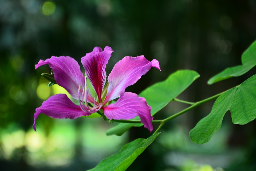 国投钦州发电有限公司的图片,广西钦州国投钦州发电有限公司