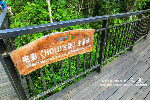 三亚五天四晚旅行团爱上海岛,三亚3天两晚够不够