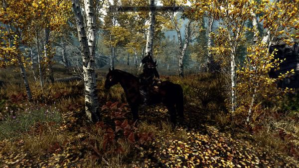 上古卷轴5天际控制台技能点代码,上古卷轴5天际代码表