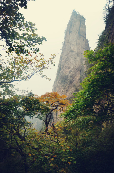 老君山仙境高清图片,老君山似天上宫阙