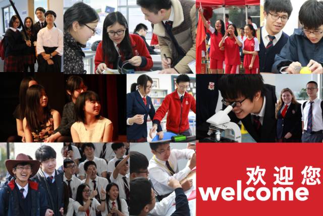 苏州最强学校,苏州最差评的10所学校