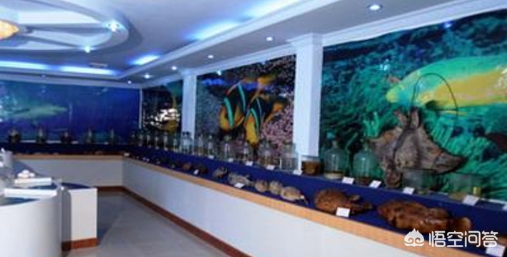 各省旅游景点地图和分布图,各省标志性景点