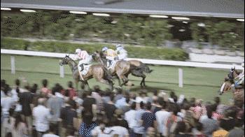 香港10元能买什么东西,香港10元可以买什么