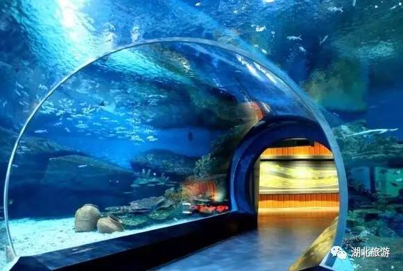 武汉海昌极地海洋公园一日游日记,一日一景看地球