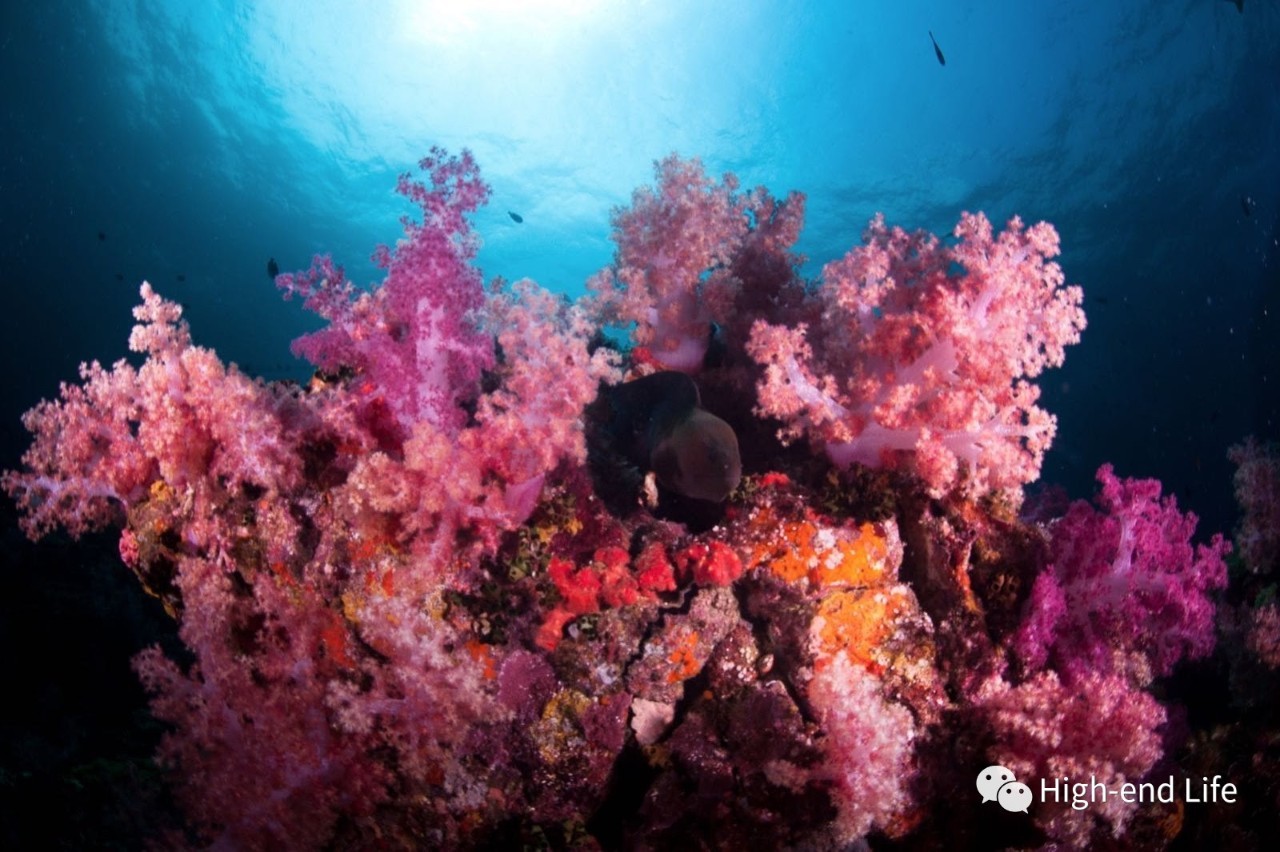 老炮旅行记北京,小白去泰国潜水攻略