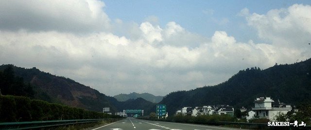 金毛萨克斯,金毛挑战全部视频