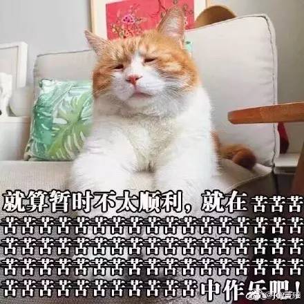 问问大家啊,如果对象要你一周内从世界8个国家给买礼物来证明你的爱,你……