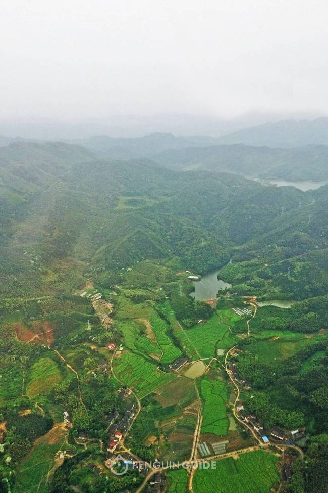 来到沙县你们吃沙县小吃吗,真正沙县小吃在沙县哪里