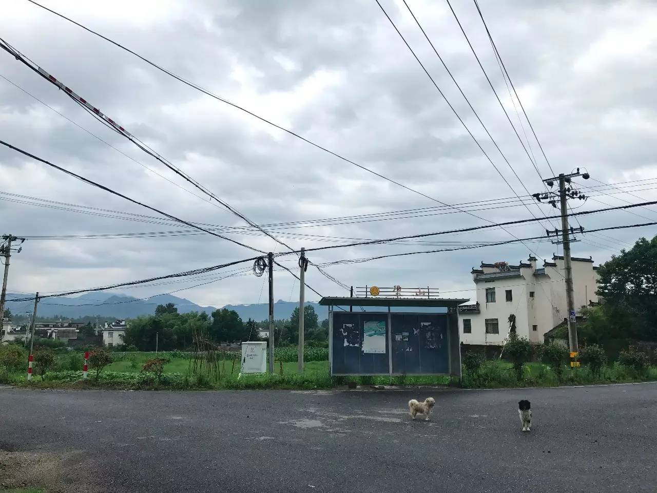 碧山工销社｜崔灿灿｜策展手记