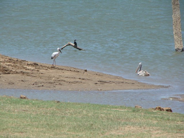 在斯里兰卡旅游必做的10件事,在斯里兰卡的难忘旅行经历