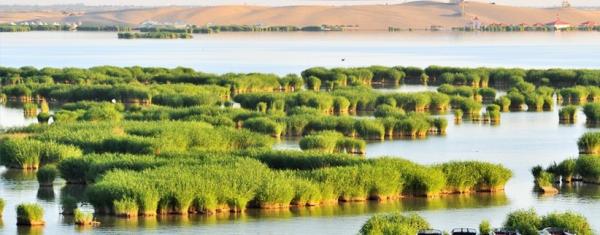 洪鑫诚个人生活,洪鑫诚个人简介