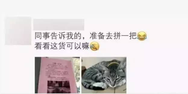 苏州吴中区寻猫启事粉色铃铛,丢猫寻猫启事苏州