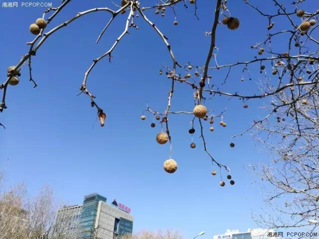 荣耀v详细评测体验,荣耀v优缺点测评