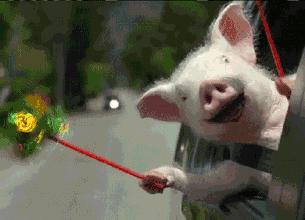 天气预报未来三天鹤壁,鹤壁41天天气