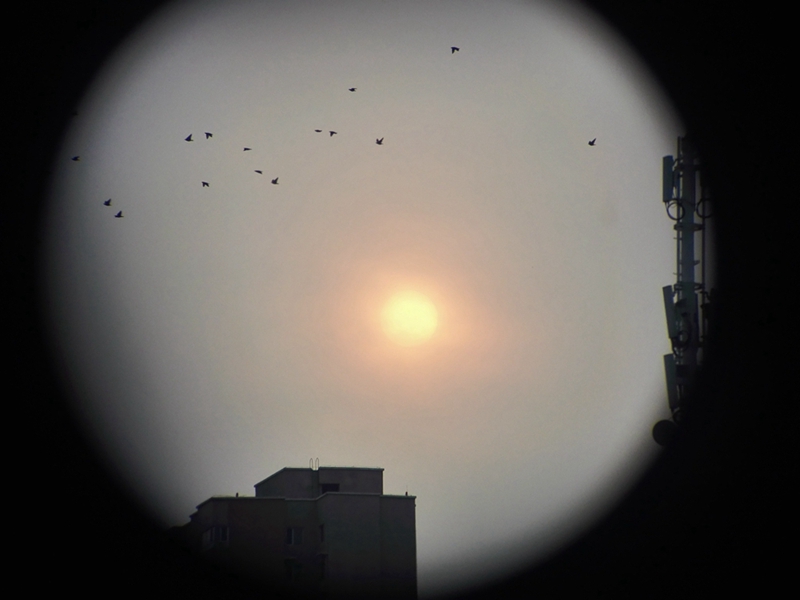 云光熊猫望远镜评测,云光yjm1050e望远镜测评