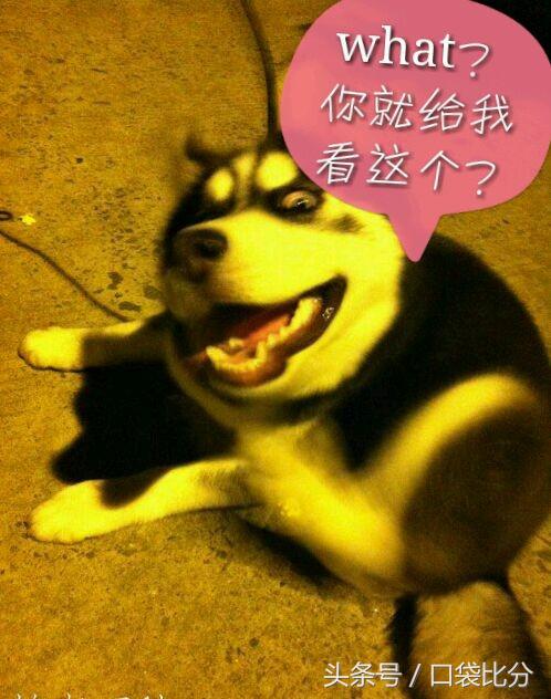 足球运动员的名字有哪些,中国足球运动员名字