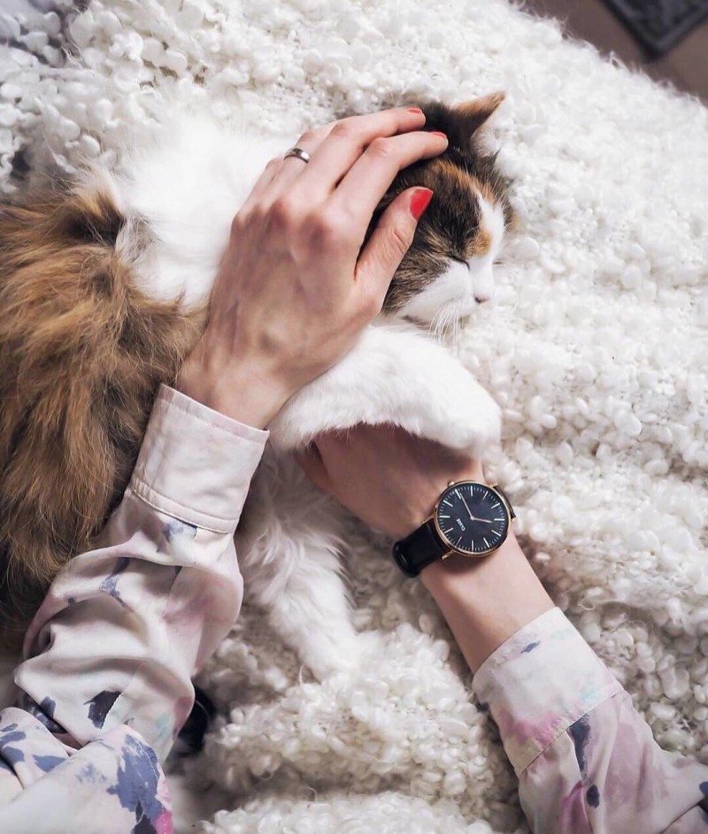 名表几千块钱的有哪个牌子,几百价位颜值超高的手表