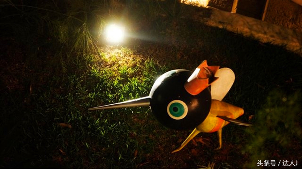 从亚马逊雨林到安纳托,最靠近亚马逊丛林的城市