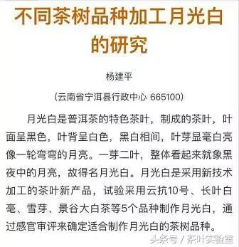 白茶的黄片怎么来的呢？看看大神如何解释！