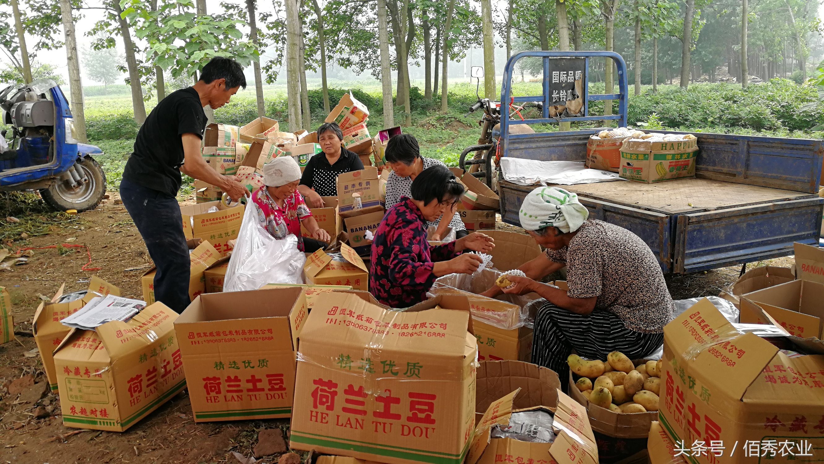 脸红!你在城里享福,父母却在农村做这种事!
