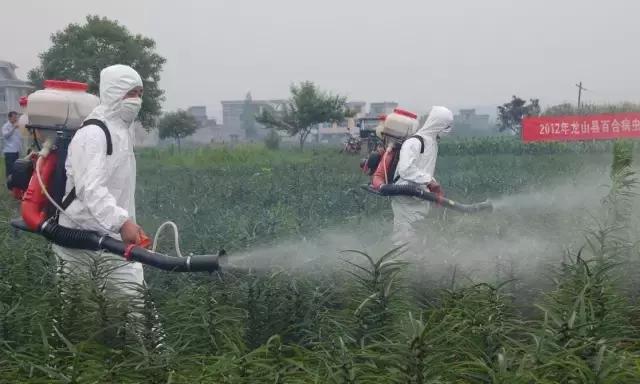 厨房里最毒的三种东西,厨房里这些东西隐藏致癌风险