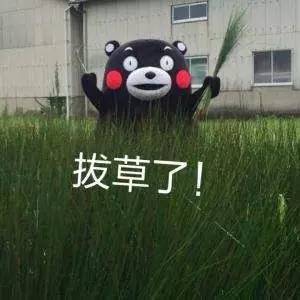 种草｜安利10款我会回购的真爱爽肤水！