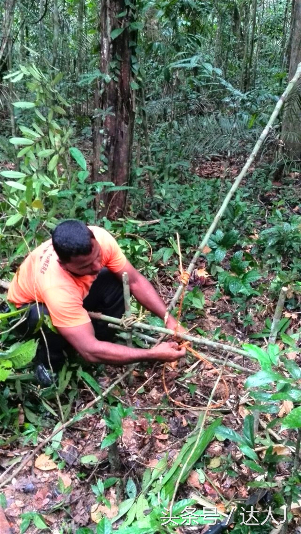 达人J：巴西的盛宴