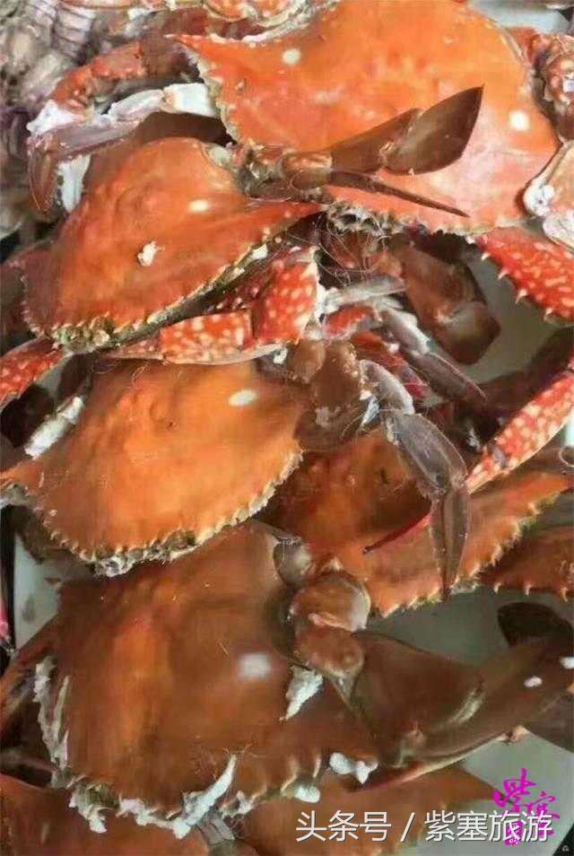 唐山乐亭紫塞明珠农家院,天津蓟县紫塞农家院