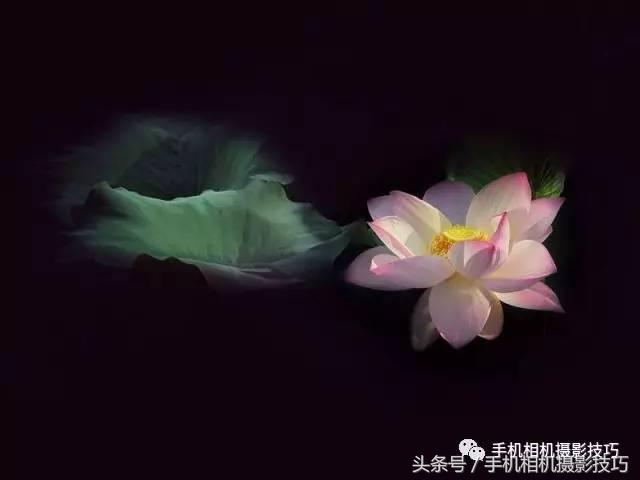 拍好照片的三个标准你值得一看,拍一张好照片容易吗