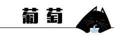 猫咪睡姿大作战,猫咪大字型睡姿图片