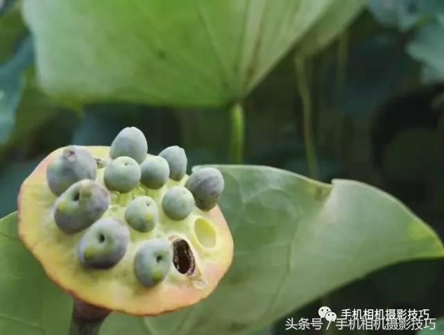 拍好照片的三个标准你值得一看,拍一张好照片容易吗