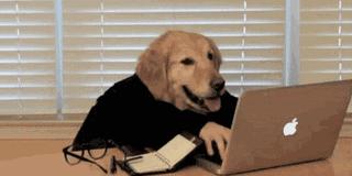 亚马逊美国购物节,亚马逊新夏季购物节